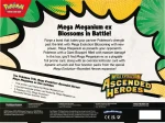 Mega-Meganiumex-tyl.webp