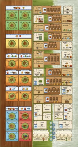 pola-arle-plansza.webp